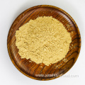 High-quality 100% natural extract ginger powder